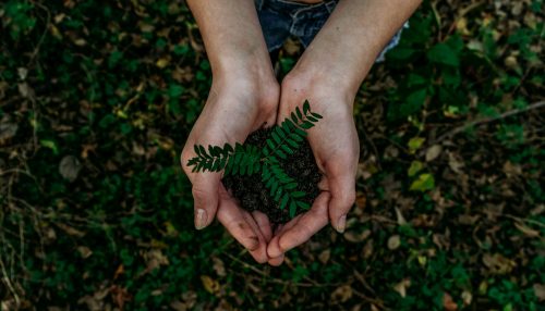Green Jobs im nachhaltigen Management